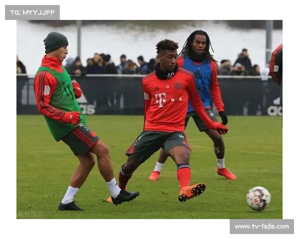 涪城铁牛队球迷分析战术,业余赛场现专业视角 涪城铁牛队球迷分析战术,业余赛场现专业视角